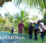 DOST-PCAARRD, DOrSU’s Coco-HULIP project to boost sustainable coconut farming in Davao Oriental
